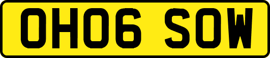 OH06SOW