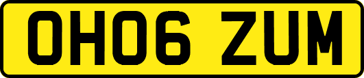 OH06ZUM