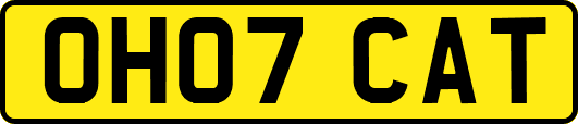 OH07CAT