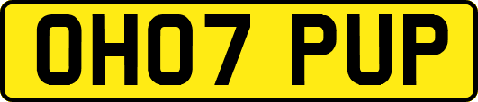 OH07PUP