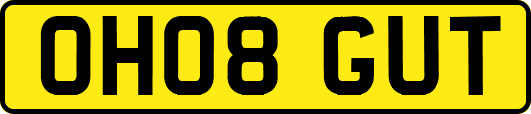 OH08GUT