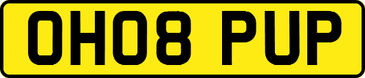 OH08PUP