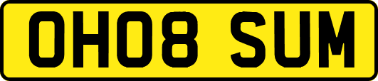OH08SUM