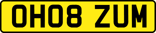OH08ZUM