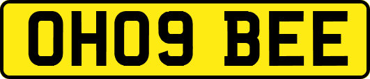 OH09BEE