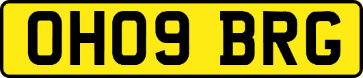OH09BRG