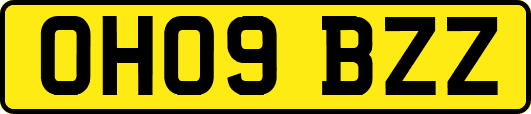 OH09BZZ