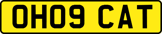 OH09CAT