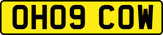 OH09COW