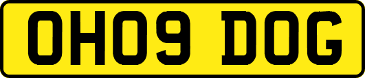 OH09DOG