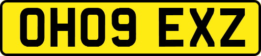 OH09EXZ