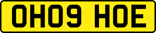 OH09HOE