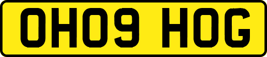 OH09HOG