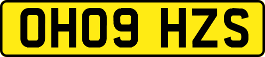 OH09HZS