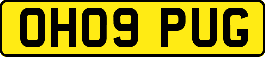 OH09PUG