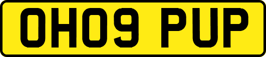 OH09PUP