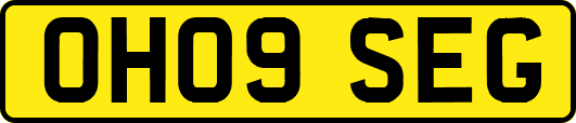 OH09SEG