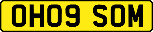 OH09SOM
