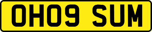 OH09SUM