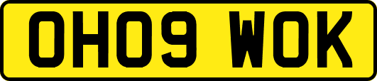 OH09WOK