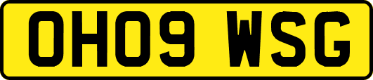OH09WSG