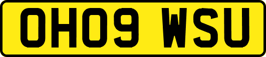 OH09WSU