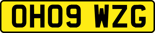 OH09WZG