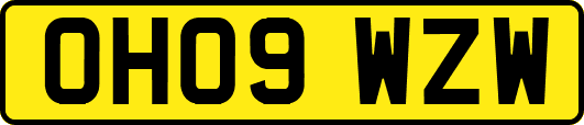 OH09WZW