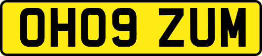 OH09ZUM