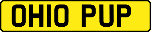 OH10PUP