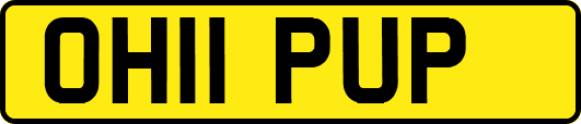 OH11PUP