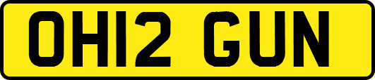 OH12GUN
