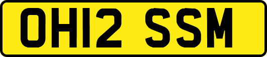 OH12SSM