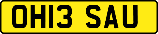 OH13SAU
