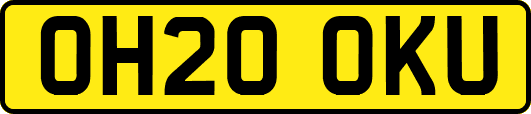 OH20OKU