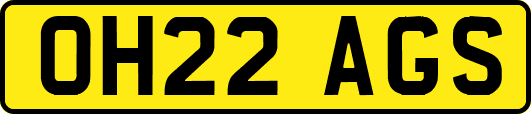 OH22AGS