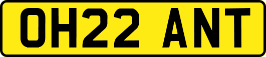 OH22ANT