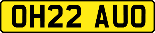 OH22AUO
