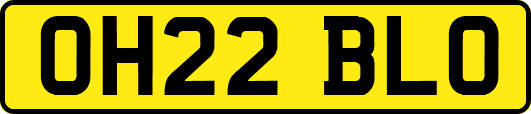 OH22BLO