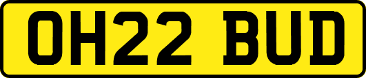 OH22BUD