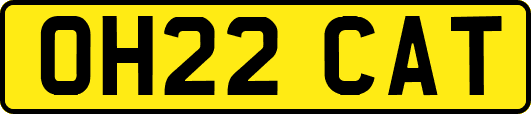 OH22CAT