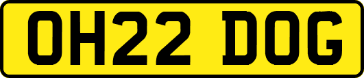 OH22DOG
