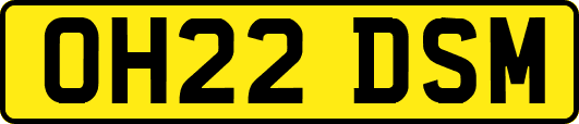 OH22DSM