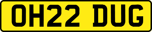 OH22DUG