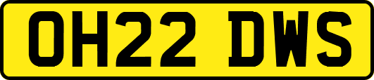 OH22DWS