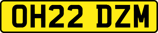 OH22DZM