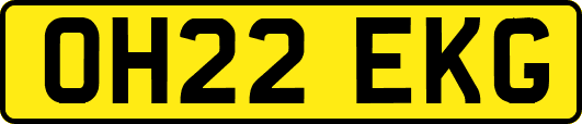 OH22EKG