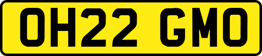 OH22GMO