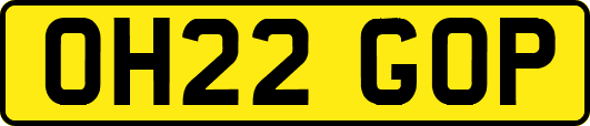 OH22GOP