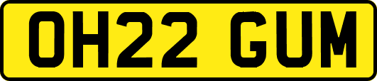 OH22GUM
